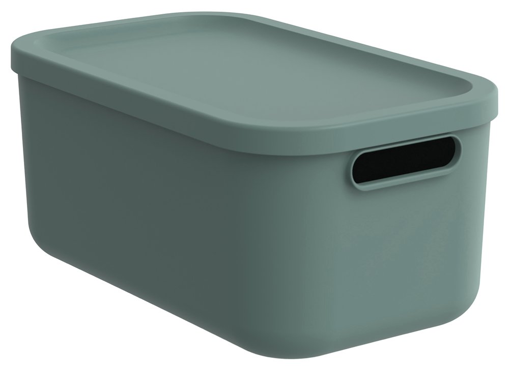 Daiktadėžė ROTHO Albula, 12 l, su dangčiu, žalsvos sp.