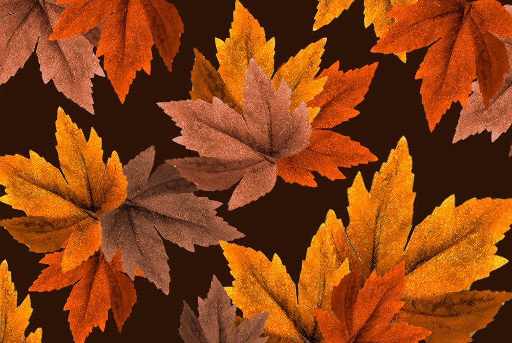 Kilimėlis LAKO MODERN PRINTED GROBE BLATTER, 50 x 75 cm, 100% PES, pagrindas PVC, pilkas