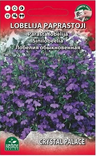 Sėklos gėlių, lobelija paprastoji BLUE CARPET, (02-07mėn), 0,5 g, mėlynos