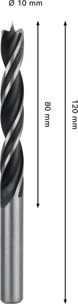 Grąžtas medienai BOSCH PRO, 10 mm x 120 mm