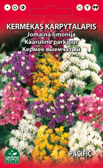 Gėlių sėklos, kermėkas karpytalapis, mišinys, 0,2 g., 0896