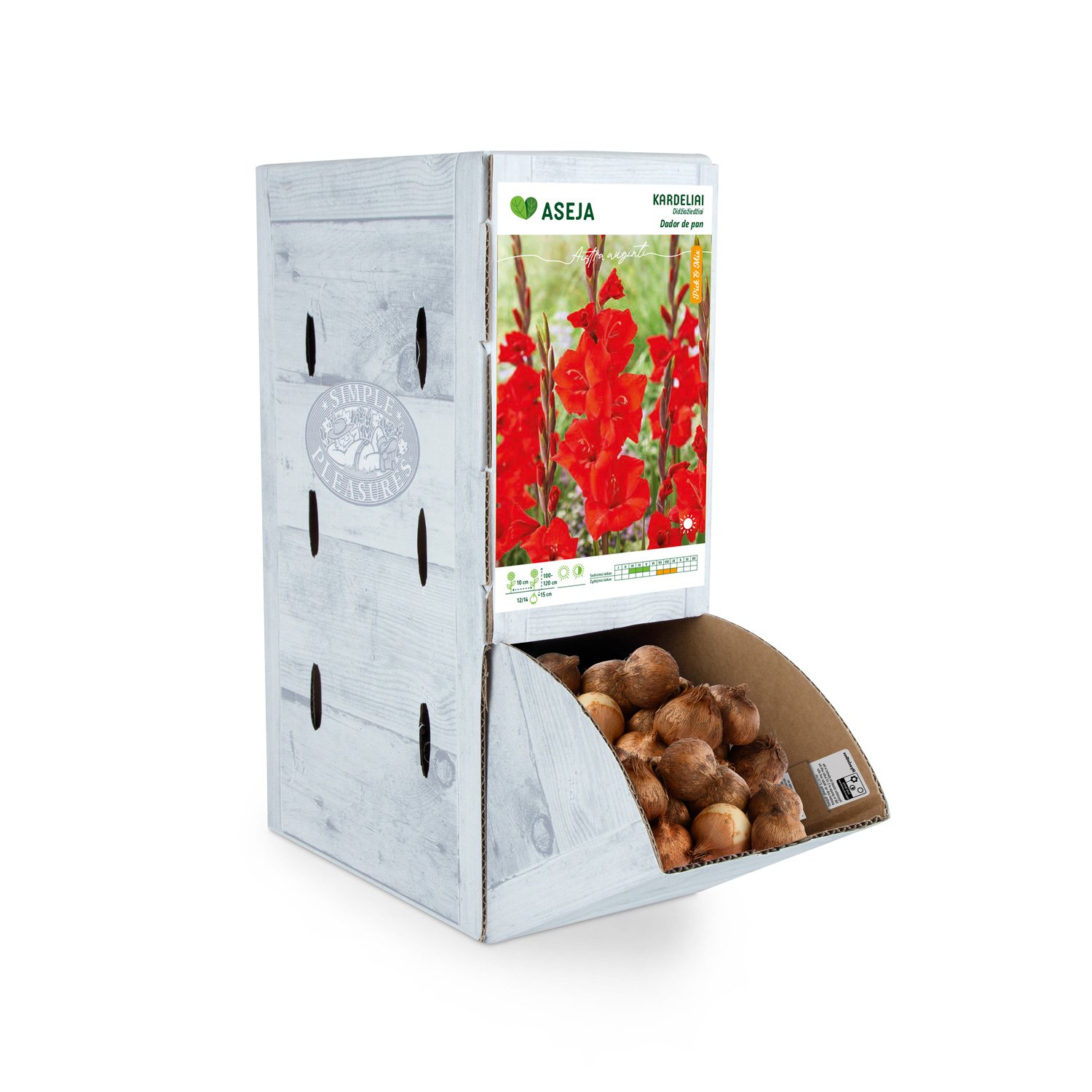 Didžiažiedžio kardelio Dador de Pan svogūnėlis ASEJA, 1 vnt., 12/14, Rackbox, 83945700, (P)