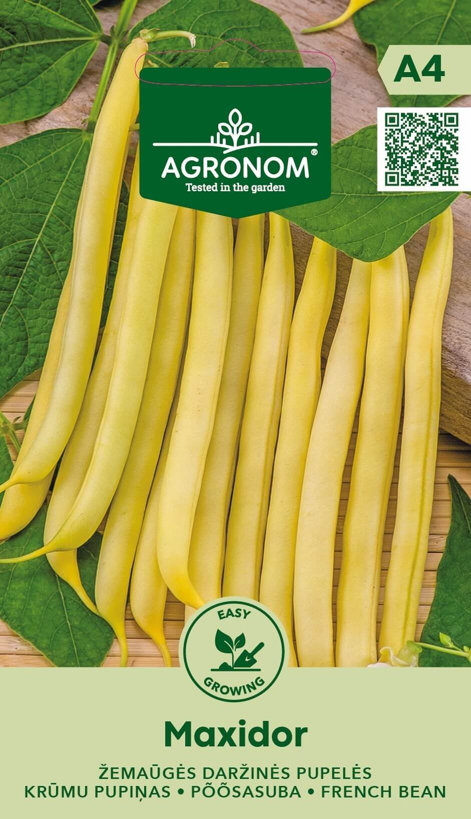 Daržovių sėklos, AGRONOM pupelės daržinės šparag. MAXIDOR, 8 g.