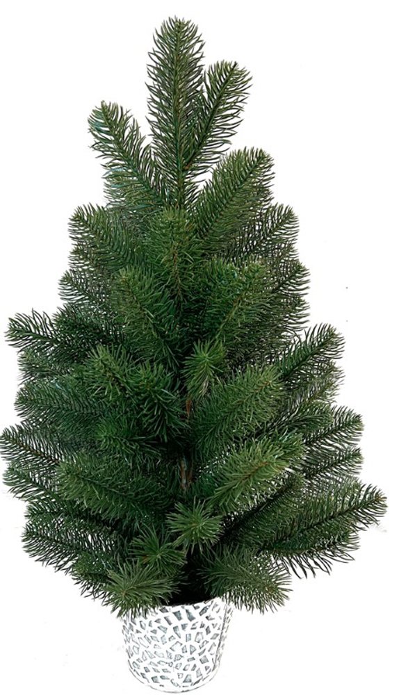 Dirbtinė eglė vazone NOVELLY HOME H059, aukštis 60 cm