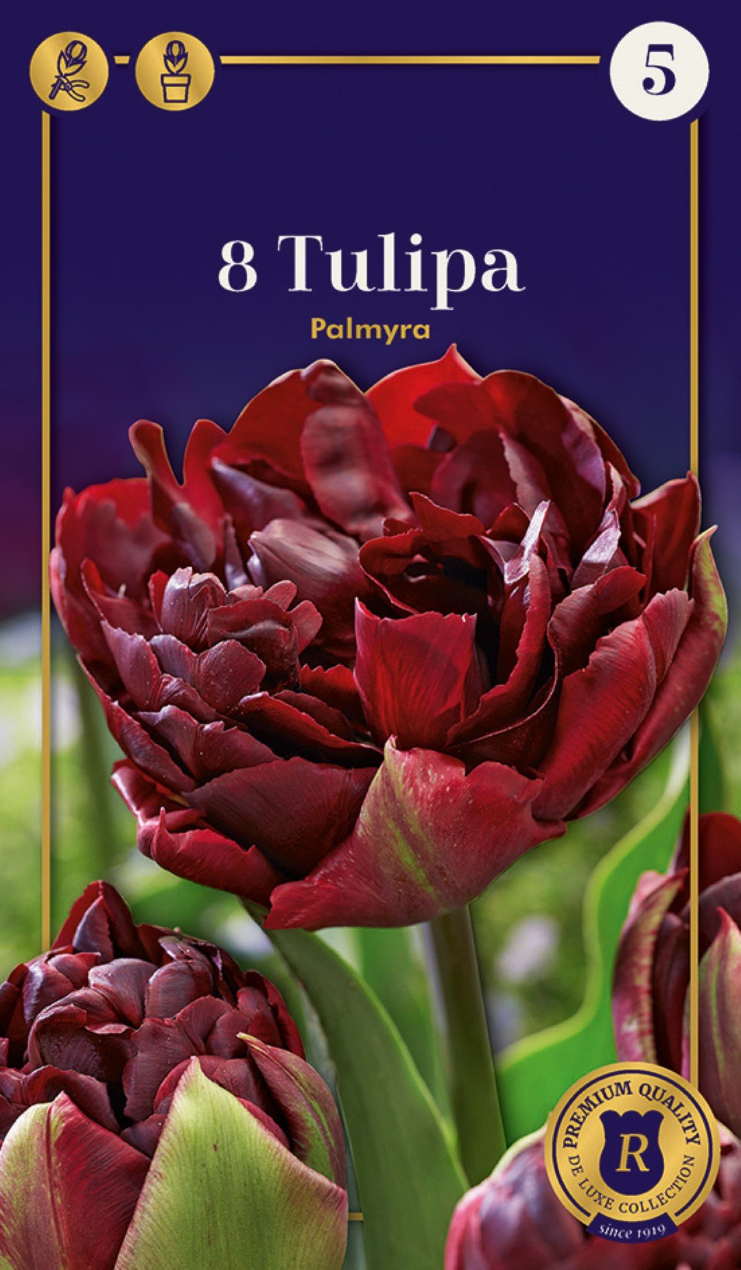 Pilnavidurių ankstyvųjų tulpių Palmyra svogūnėliai, 6 vnt., 12/+, Supreme, 618402, (R)