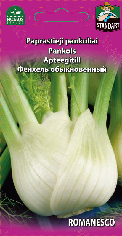 Daržovių sėklos, pankolis Romanesco, 0,5 g., 9738