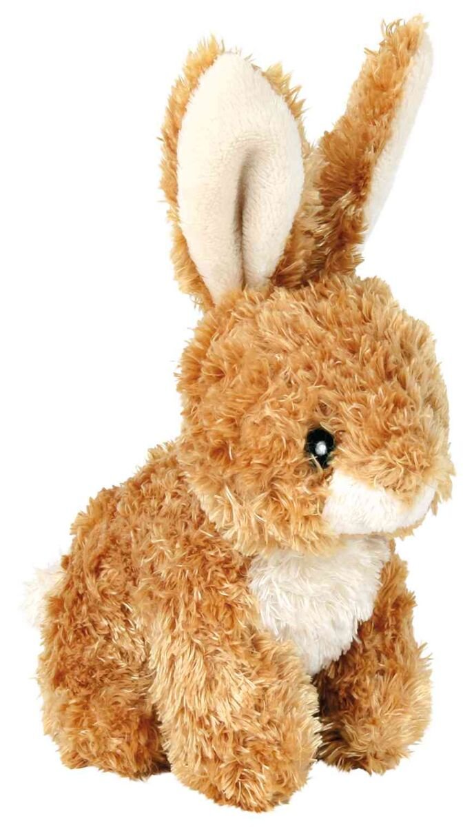 Žaislas šunims TRIXIE TRIUŠIS, 15 cm