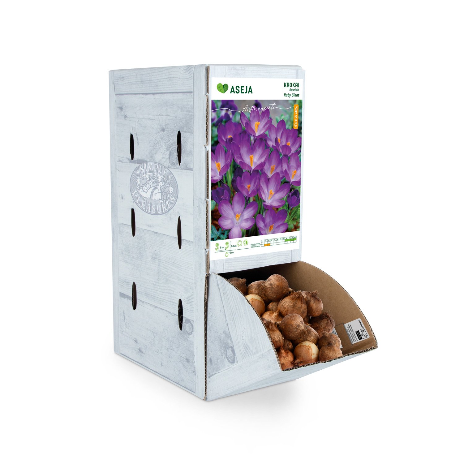 Botaninių krokų Ruby Giant svogūnėlis ASEJA, 1 vnt., 6/7, Rackbox, 84041006, (R)