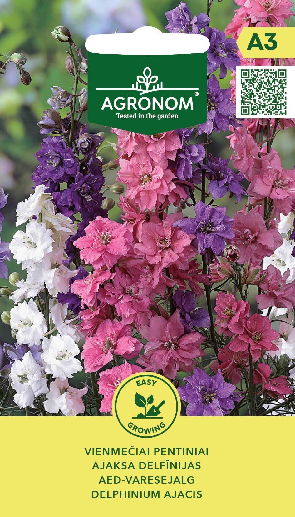 Gėlių sėklos, AGRONOM pentiniai vienmečiai AJACIS, 0,5 g.