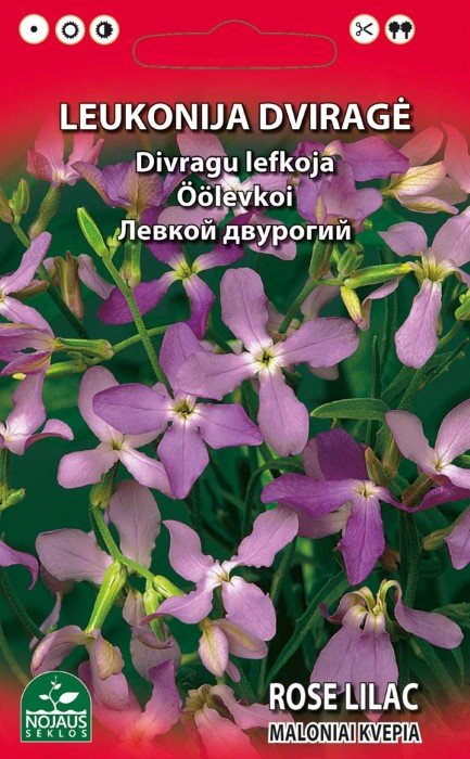 Gėlių sėklos, Leukonija dviragė, 0.5g 0889