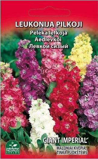 Sėklos, leukonija pilkoji, 0.3g (02-07mėn)