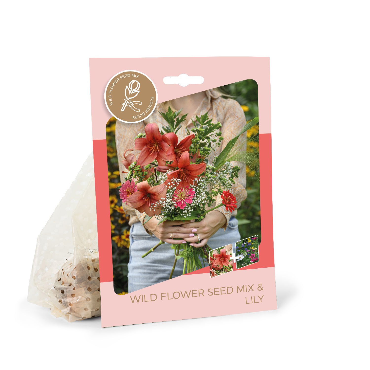 Azijinės lelijos svogūnėliai ASEJA Red, 2 vnt., 14/16, Bouquet, 87461414, (P)