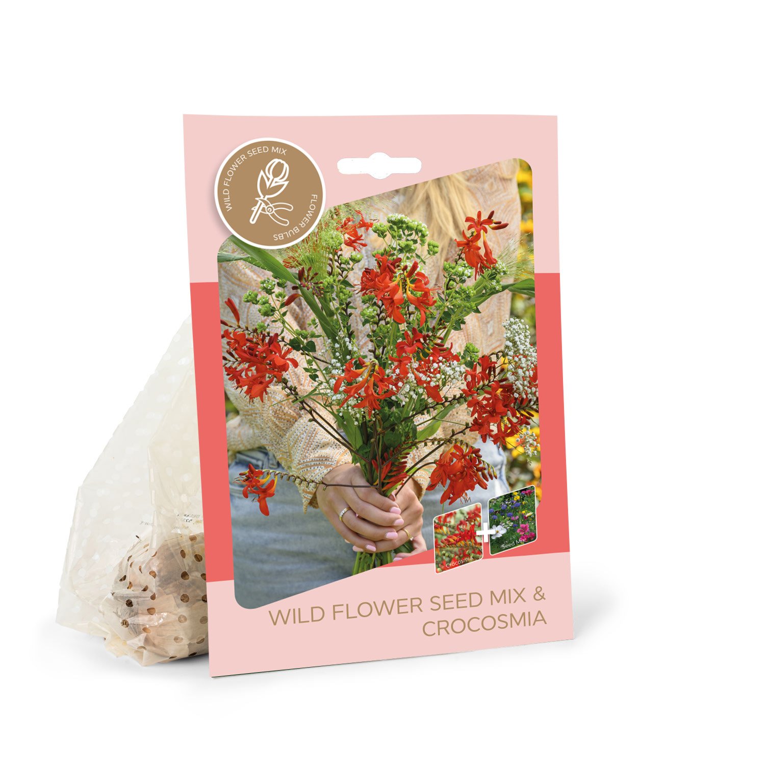 Montbretės svogūnėliai ASEJA Lucifer, 8 vnt., 8/10, Bouquet, 87460108, (P)
