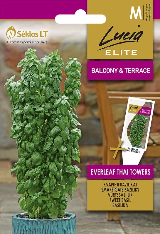 Prieskonių sėklos, LUCIA ELITE ELN - Bazilikai kvapieji, EVERLEAF THAI TOWERS, M, 20 s.