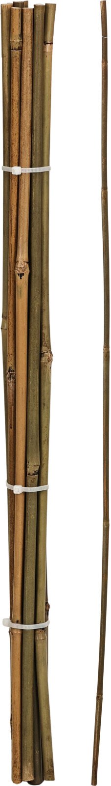 Bambukinė atrama PROGARDEN, rinkinys (10 vnt.), aukštis 60 cm.
