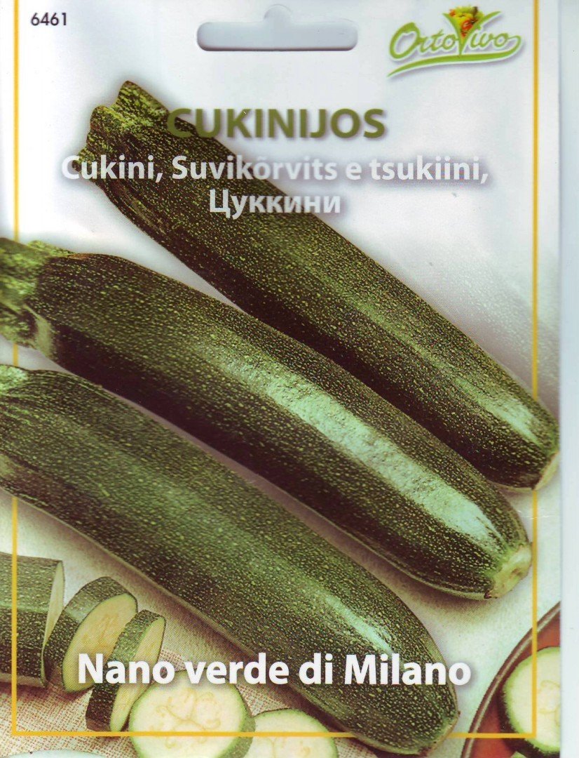 Daržovių sodinukai, cukinijos "Nano Verde di Milano", tamsiai žalia, pailga, vazonėlio skersmuo 10 cm.