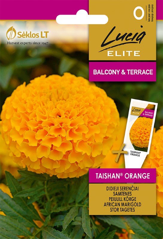 Gėlių sėklos LUCIA ELITE ELN-Serenčiai didieji, taishan orange, O, 5 g