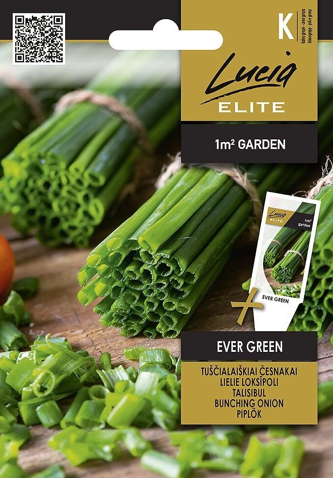 Prieskonių sėklos, LUCIA ELITE ELN česnakai tuščialaišk. EVER GREEN, 2 g., K