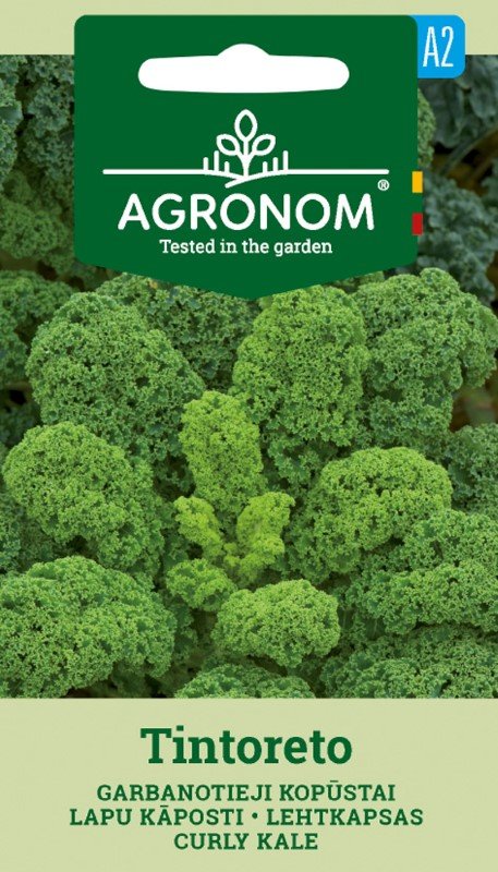 Daržovių sėklos, AGRONOM Kopūstai garbanotieji lapiniai, TINTORETO, 1 g.
