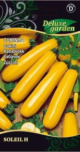 Cukinijos Soleil H, 3652, D, 1 g.