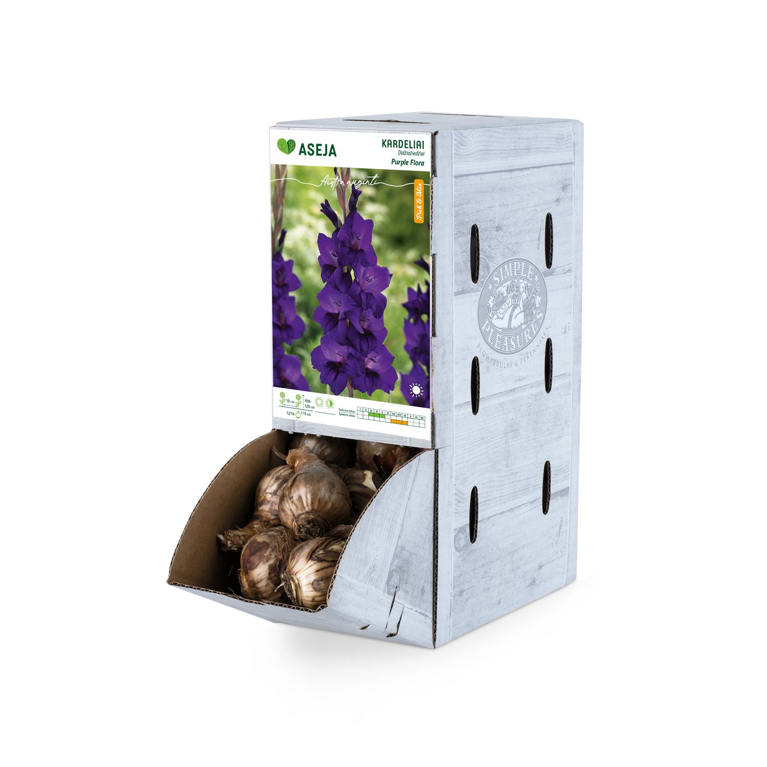 Didžiažiedžio kardelio Purple Flora svogūnėlis ASEJA, 1 vnt, 12/14, 66014612