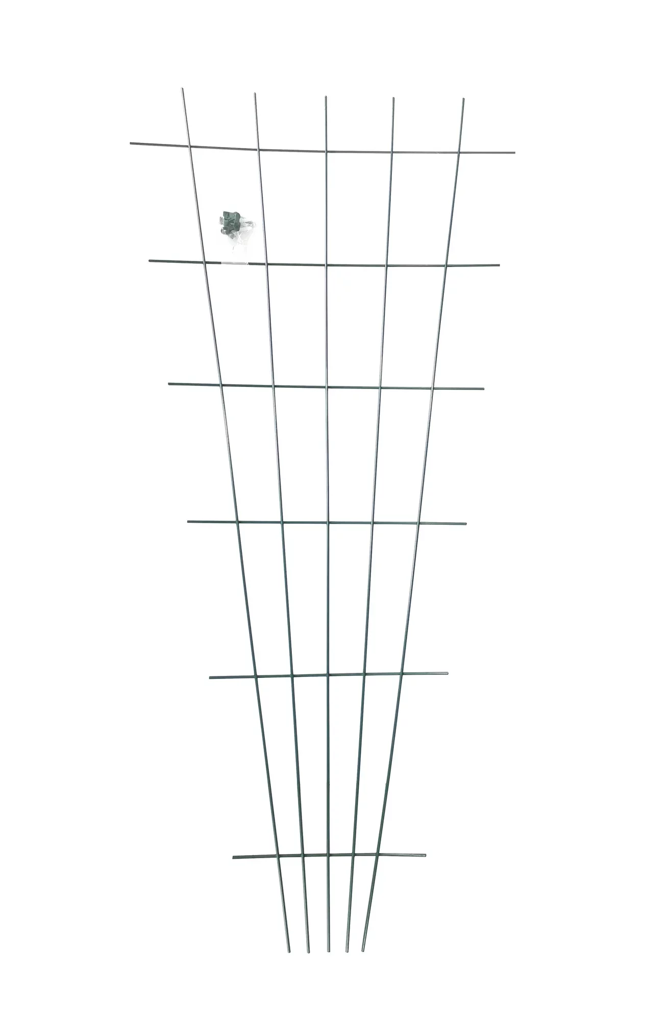 Augalų atrama ASEJA, vėduoklinė, metalinė, žalios sp., 150 x 75 x 0,4 cm.