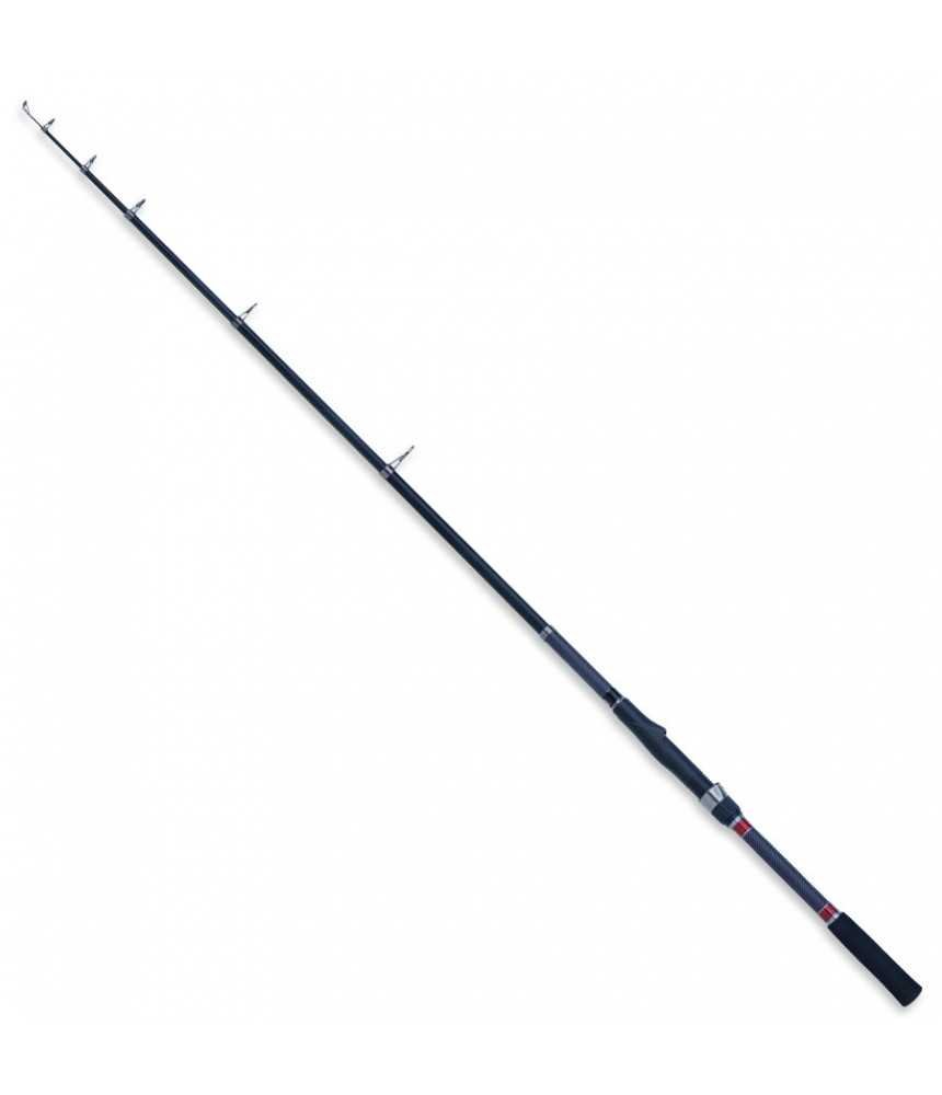 Meškerė ROBINSON Carbonic Tele - Spin, 2,70 m, 10-30 g