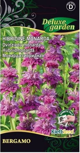 Gėlių sėklos, hibridinė monarda Bergamo, 0,1 g., 1856, D