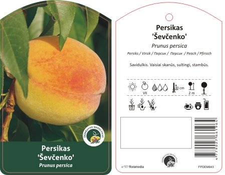 Vaismedis, persikai "Ševčenko"