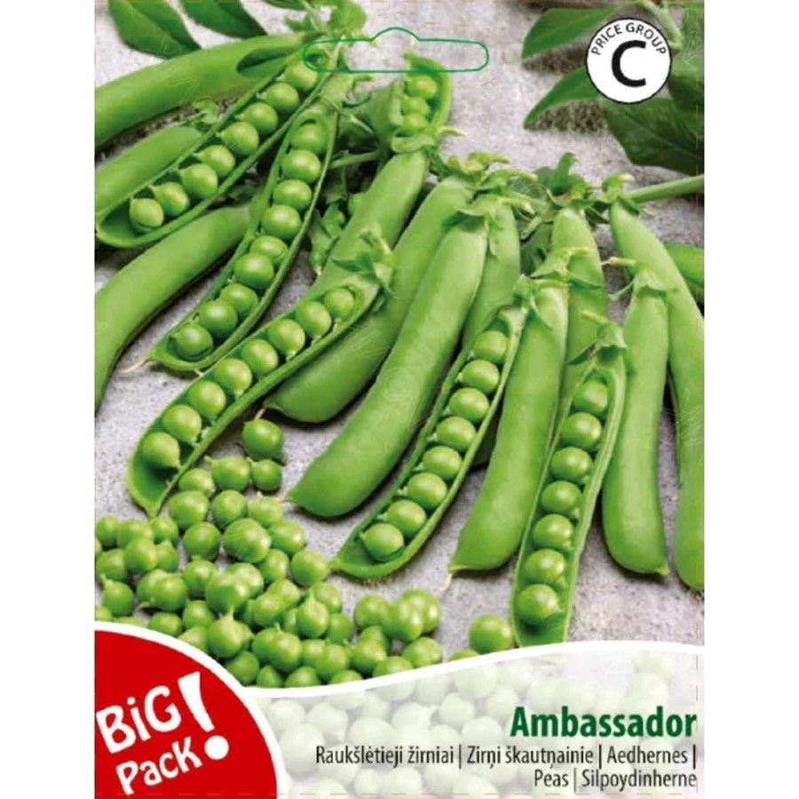 Daržovių sėklos, žirniai raukšlėtieji Ambassador, 20 g., 10291, C