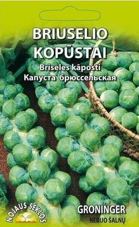 Sėklos daržovių, kopūstai, briuselio, (02-07mėn)