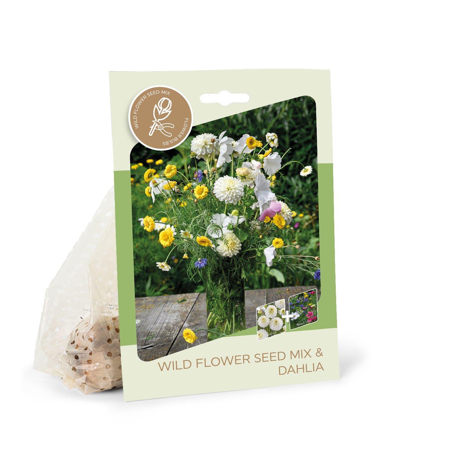 Jurgino svogūnėlis ASEJA White Onesta, 1 vnt., I, Bouquet, 87460401, (P)