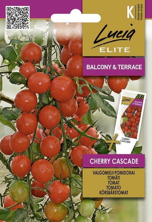 Daržovių sėklos, LUCIA ELITE ELN pomidorai CHERRY CASCADE, 0,1 g., K