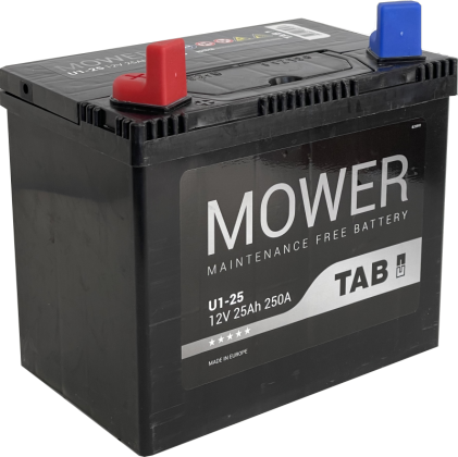 Akumuliatorius TAB 12 V, 25 Ah, 250 A, L, 250EN