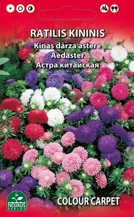 Gėlių sėklos, Ratilis kininis Color Carpet miš., 0.5g 0780