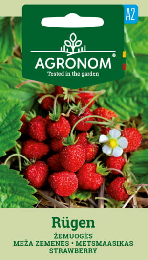 Daržovių sėklos, AGRONOM Žemuogės RUGEN, 0,1 g.