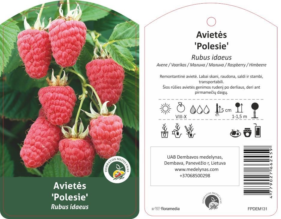 Vaiskrūmis, avietė "Polesie"