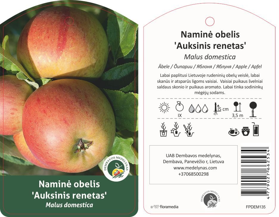 Vaismedis, obelis rudeninė "Auksinis renetas"