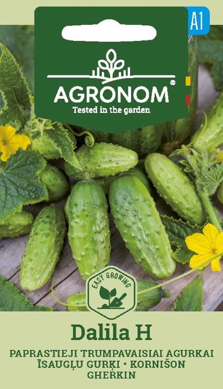 Daržovių sėklos, AGRONOM Agurkai, paprastieji trumpavaisiai DALILA H, 1 g.