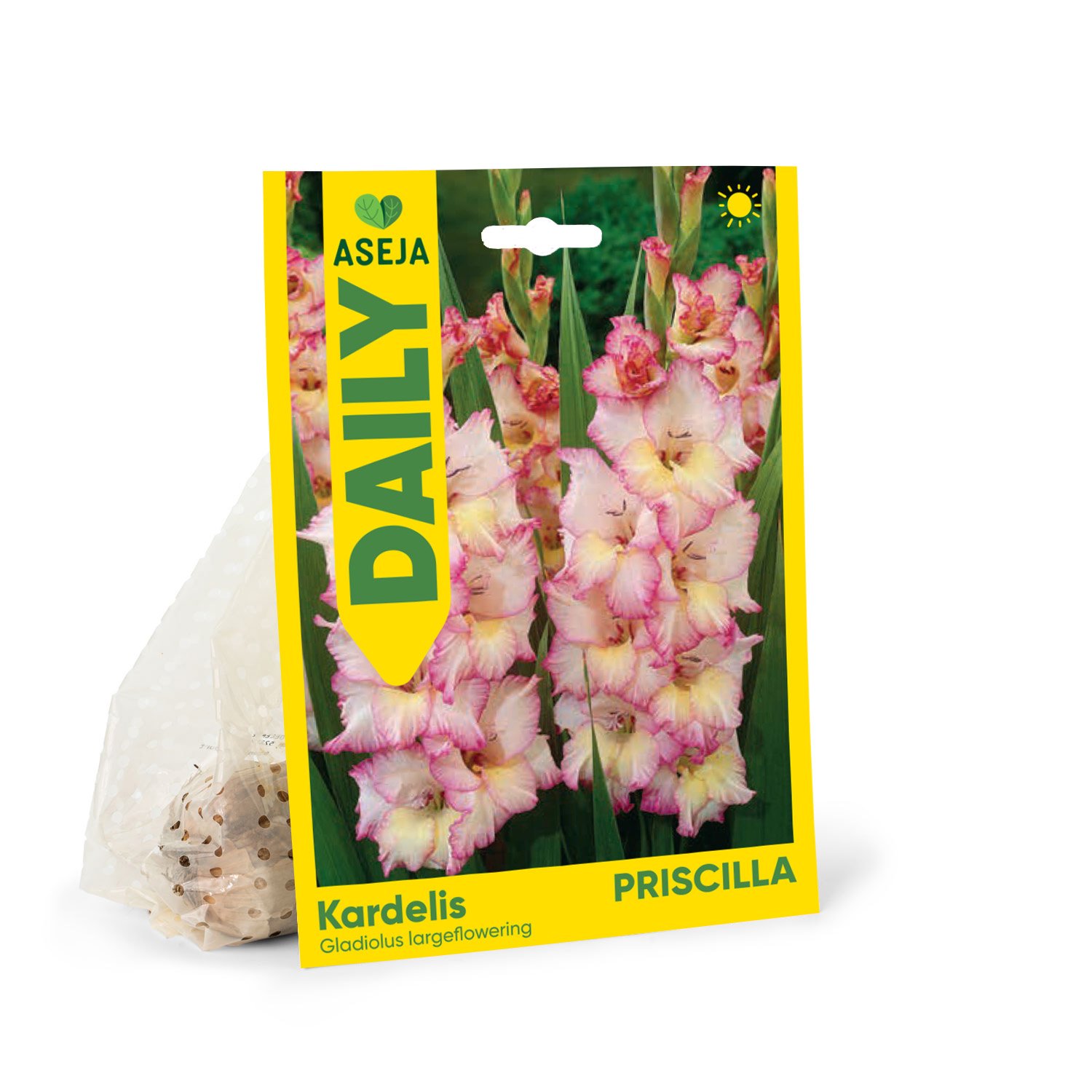 Didžiažiedžio kardelio svogūnėliai ASEJA Daily Priscilla, 3 vnt., 10/12, 83991410, (P)