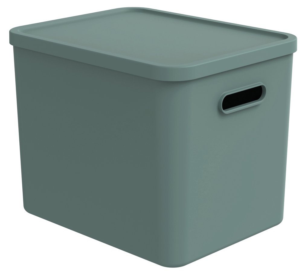 Daiktadėžė ROTHO Albula, 27 l, su dangčiu, žalsvos sp.