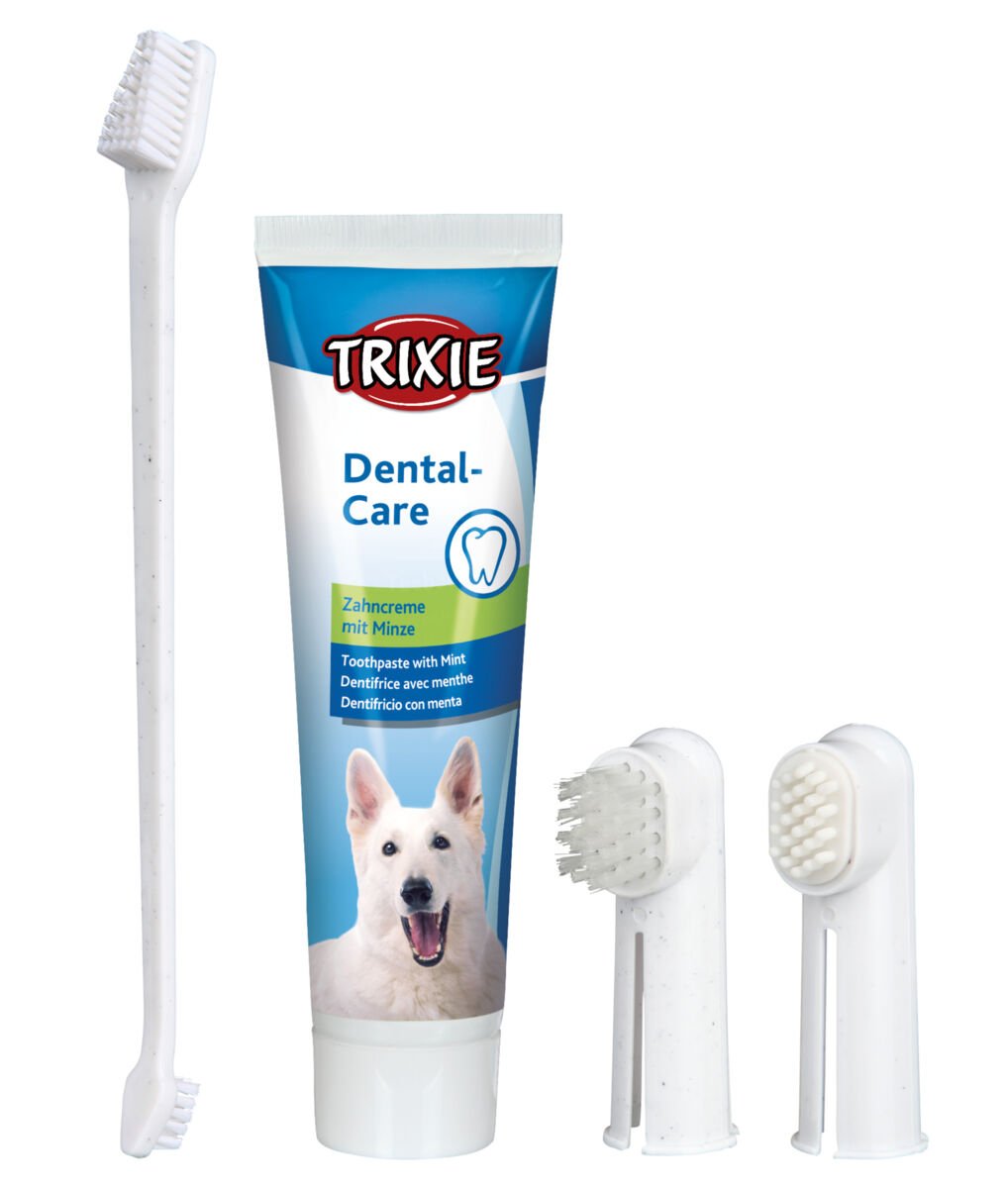 Rinkinys dantų higienai TRIXIE , šunims, 100 g