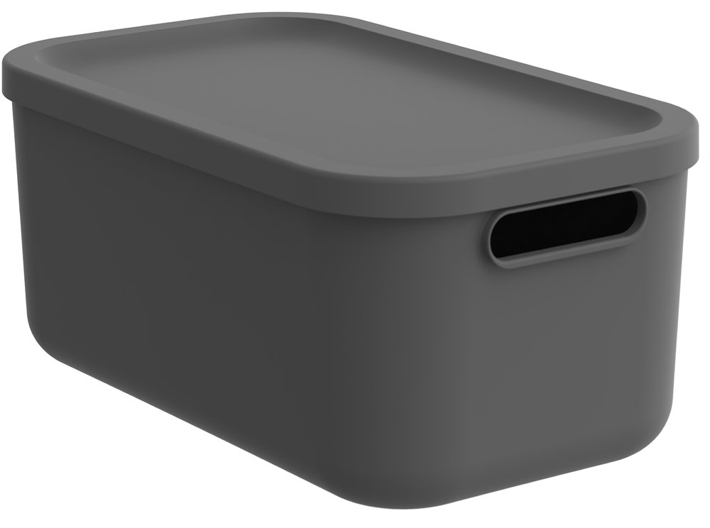 Daiktadėžė ROTHO Albula, 12 l, su dangčiu, antracito sp.