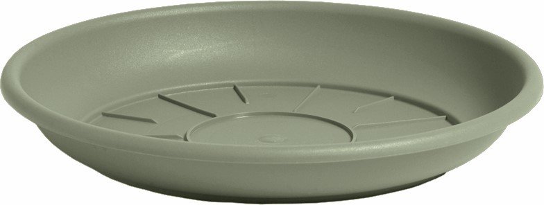 Plastikinė lėkštutė DOMUS, rozmarino sp., 24 x 3,7 cm.