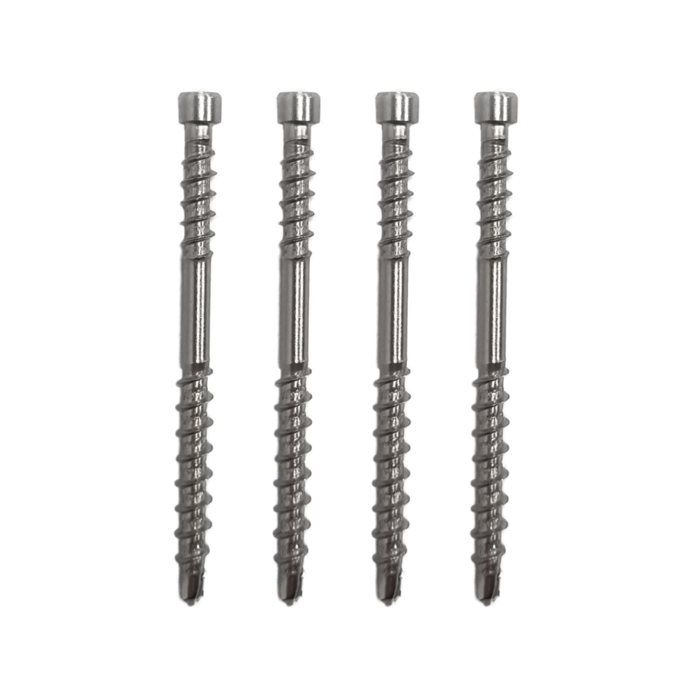 Terasiniai medsraigčiai FASTSHIFTER INVISIBLE, 4,5 x 60 mm, A4 nerūd. plieno, 600 vnt., TORX15