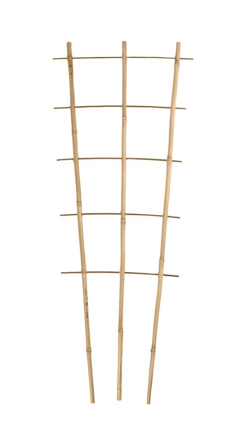 Bambukinės kopetėlės PB3.150, 3 kojų, 6 pakopų, 150 cm.