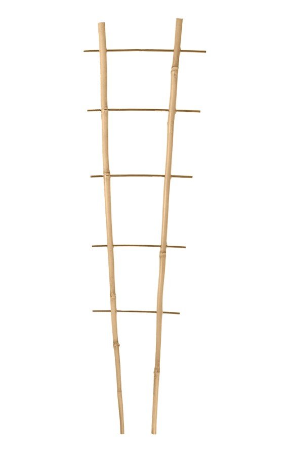 Bambukinės kopetėlės PB2.150, 2 kojų, 6 pakopų, 150 cm.