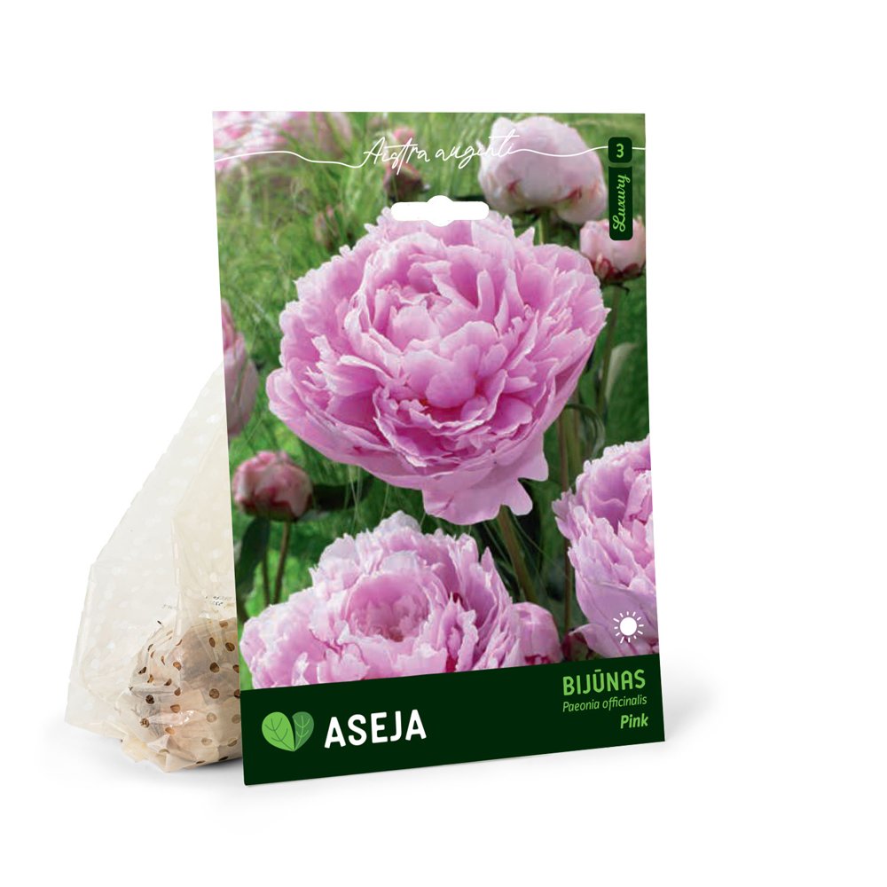 Vaistinio bijūno svogūnėlis ASEJA Pink, 1 vnt., 1/2, 83975701, (P)