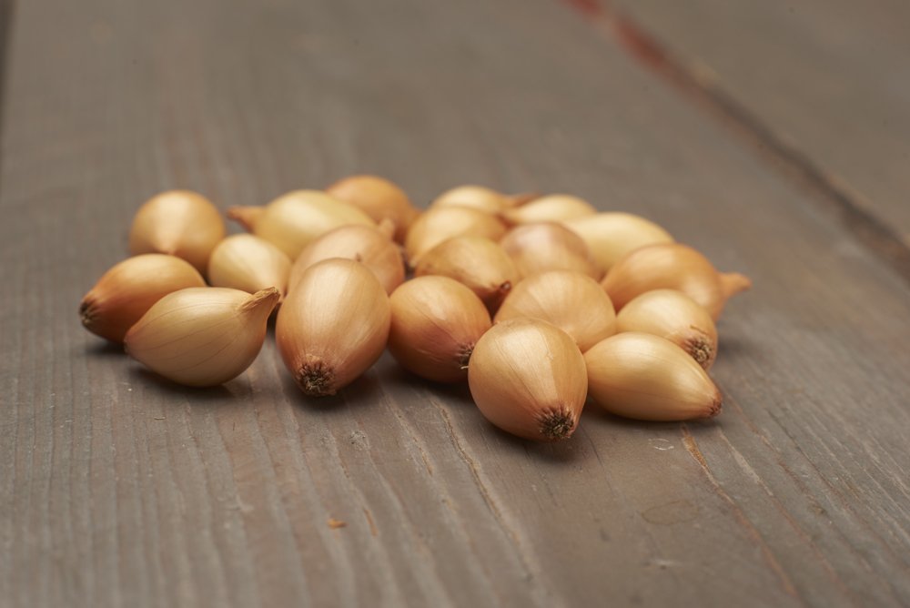 Valgomųjų svogūnų sodinukai Sturon, PROMO, 25/30 mm, 1 kg