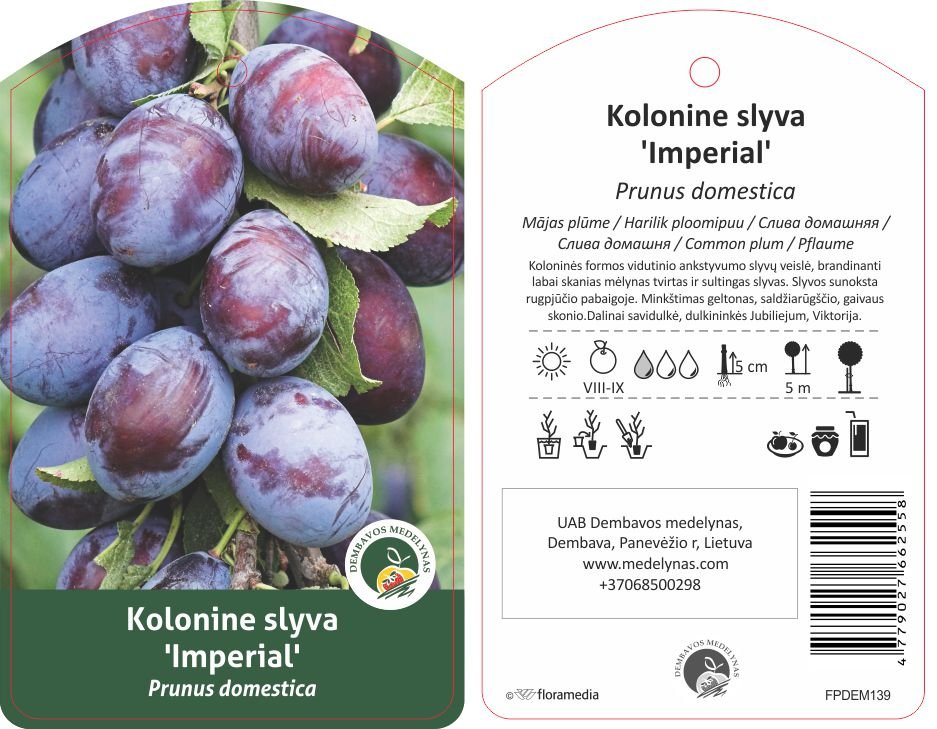 Vaismedis, slyva koloninė "Imperial"